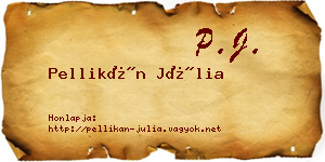 Pellikán Júlia névjegykártya